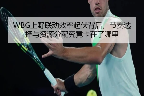 WBG上野联动效率起伏背后，节奏选择与资源分配究竟卡在了哪里